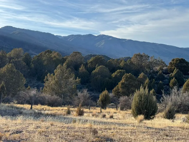 Expansive terrain featuring natural vegetation, mature trees, and distant mountain ranges under a vast sky