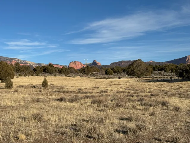 Expansive open land with natural ground cover, mature trees, and mountainous terrain in the background