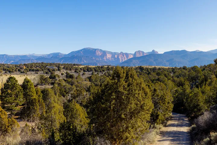 Expansive natural landscape with diverse evergreen trees, mountainous backdrop, and a visible dirt path