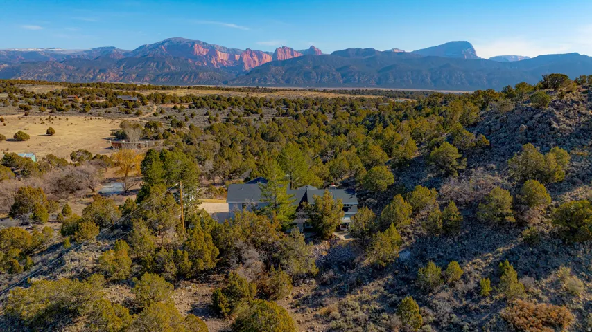 Expansive natural landscaping with mature trees