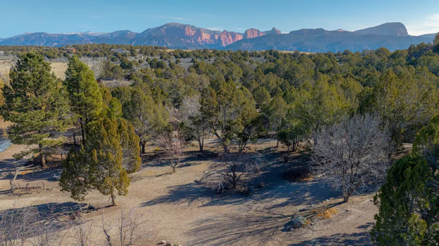 Expansive natural landscape with mature trees and distant mountain formations