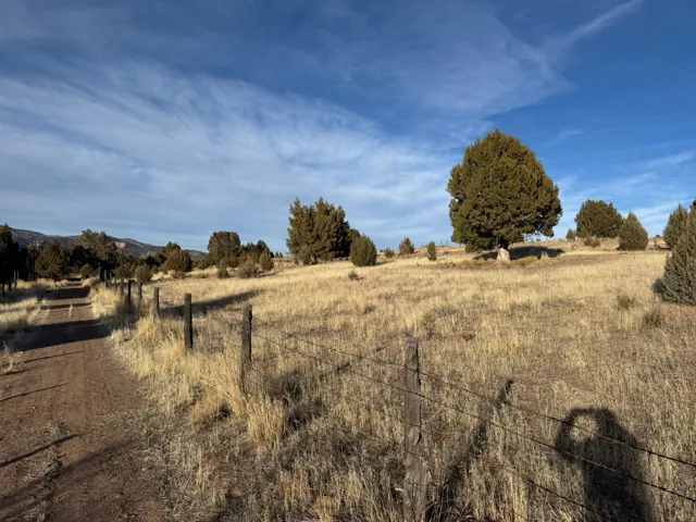 Expansive open land featuring a dirt path, mature trees, natural terrain, and a wire fence