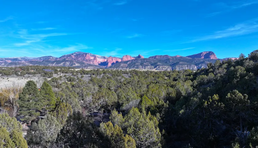 Expansive natural landscape featuring varied evergreen trees, distant red rock formations, and a clear blue sky