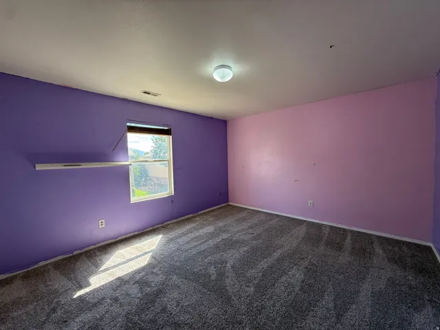 Gray textured carpeting with perimeter baseboards and a ceiling-mounted light fixture