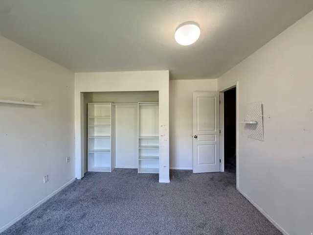 Recessed closet with integrated shelving, gray carpeting, and a flush-mount ceiling light