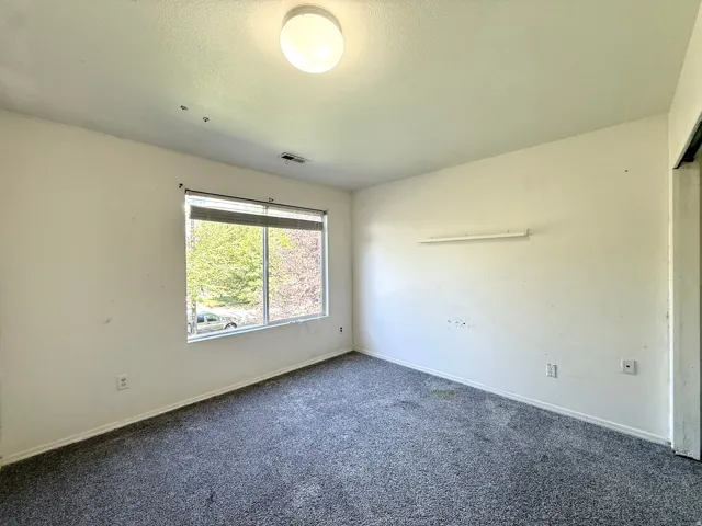 Wall-to-wall carpeting with a natural light window