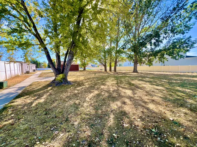 Expansive yard featuring mature trees, a paved walkway, and a privacy fence