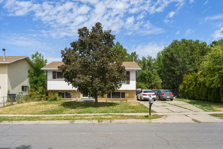 Split-level residence featuring a prominent mature shade tree on the front lawn, vinyl siding exterior, and a driveway with parking space