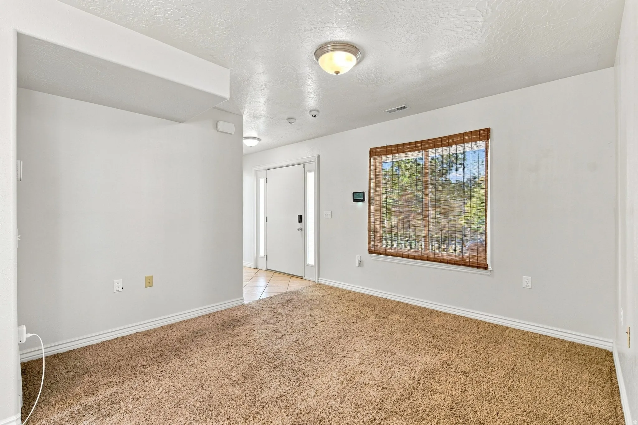 Main floor living room to the left of the entry.