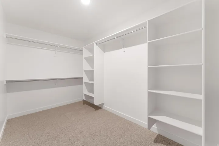 Spacious walk-in closet featuring white built-in shelving, hanging rods, and light-toned carpeting