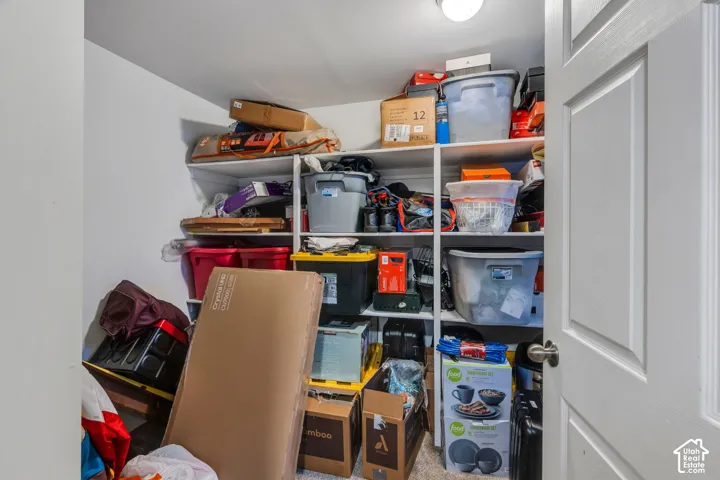 Storage space featuring built-in shelving and a paneled door