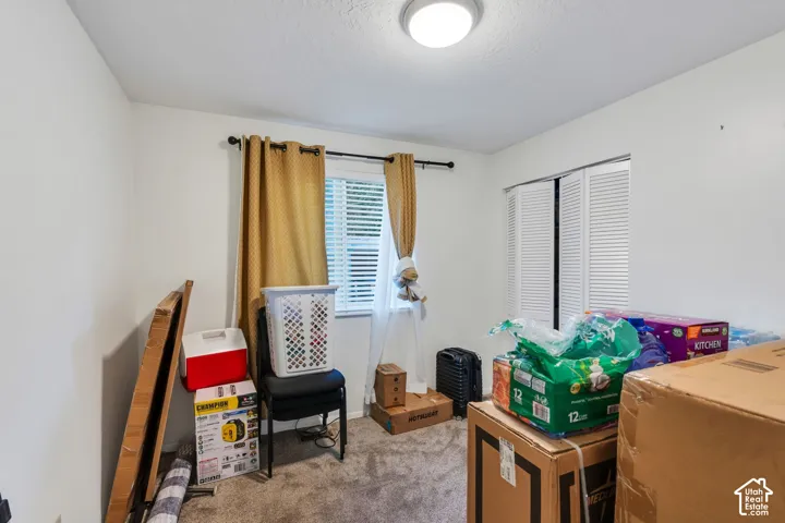Room featuring carpeted flooring, neutral wall tones, a flush-mount ceiling light fixture, a window with horizontal blinds, and a built-in closet with bi-fold louvered doors