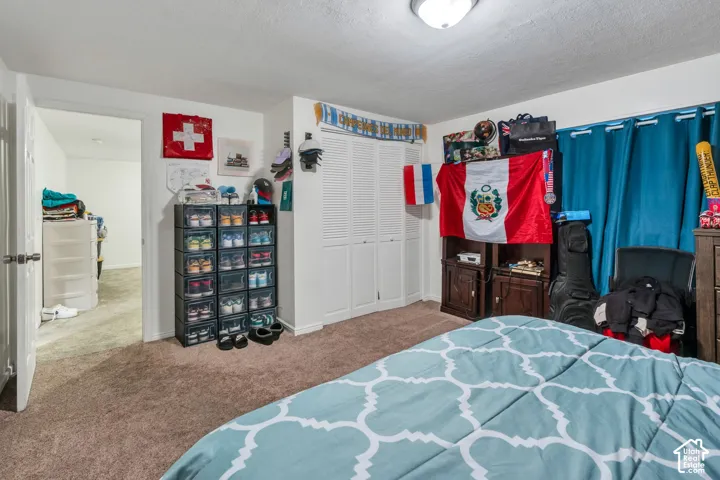 Interior space featuring carpeted flooring and white louvered-style closet doors