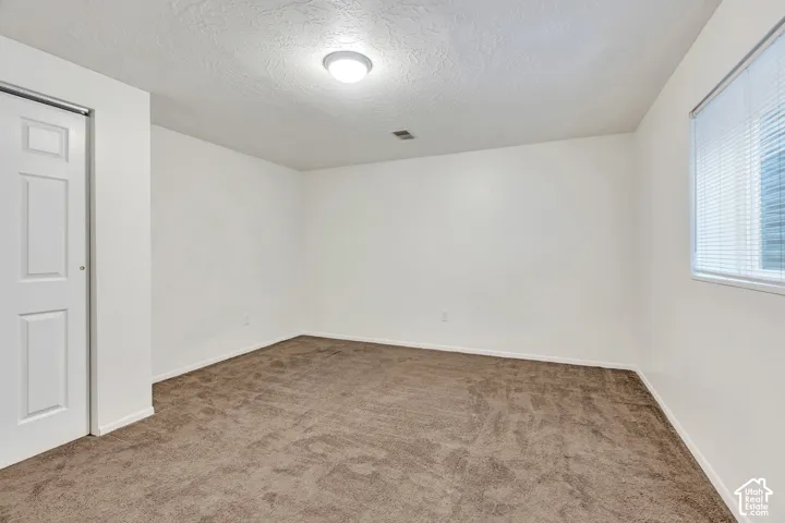 Neutral-toned carpet flooring, crisp white walls, ceiling-mounted light fixture, and closet with a multi-panel door