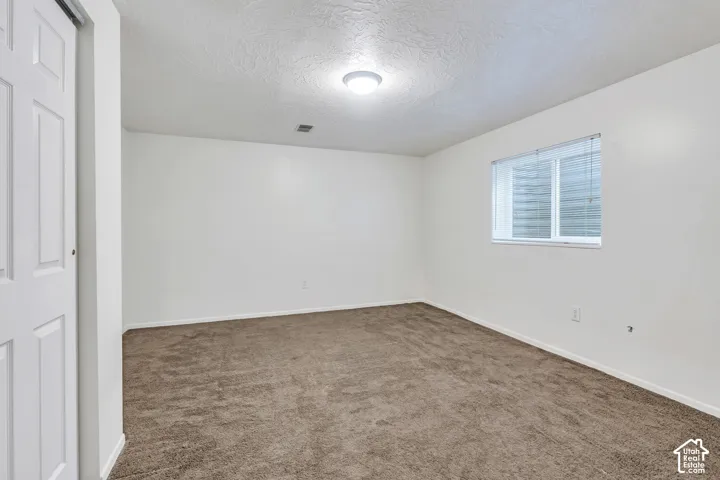 Neutral-toned carpeting, crisp white walls, flush-mount ceiling lighting, and a closet with a multi-panel door