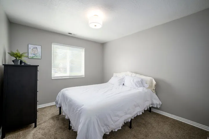 Neutral tone wall paint, carpet flooring, window with blinds, and flush mount ceiling light