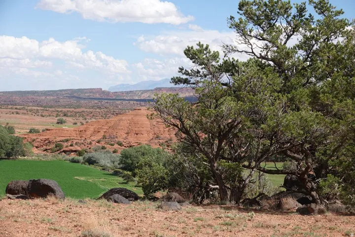 275 E 630 North St, Torrey, Utah 84775