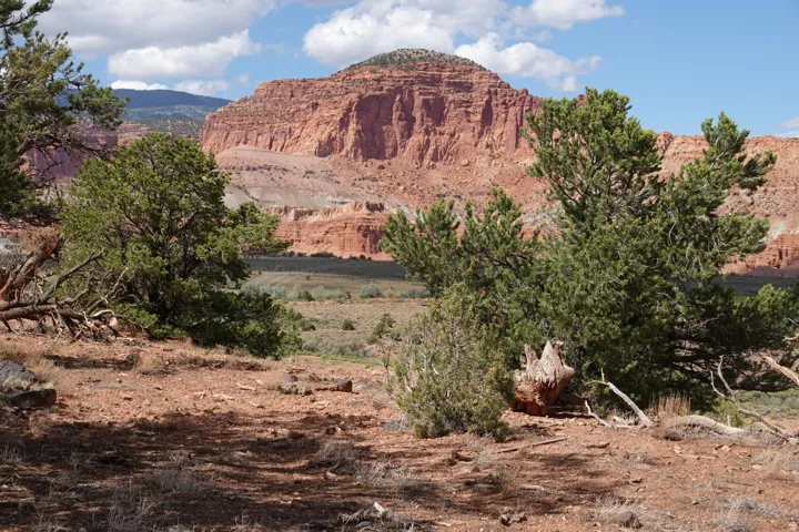 275 E 630 North St, Torrey, Utah 84775