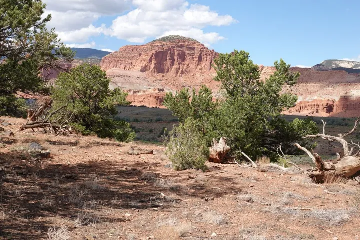 275 E 630 North St, Torrey, Utah 84775