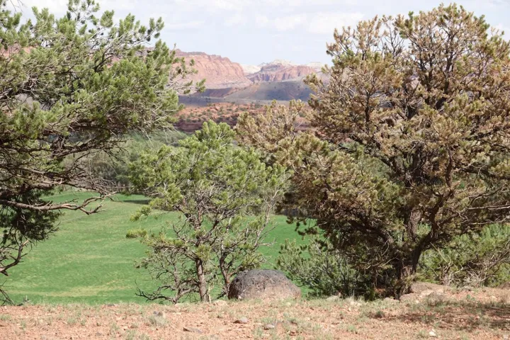 275 E 630 North St, Torrey, Utah 84775