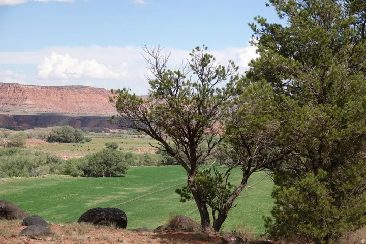 275 E 630 North St, Torrey, Utah 84775