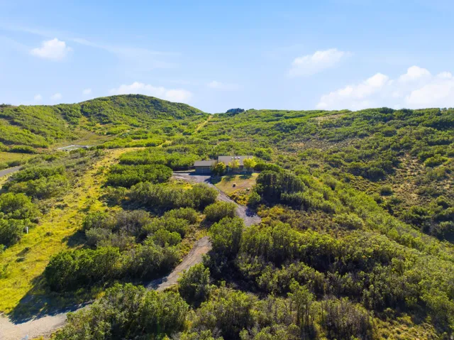 Expansive natural landscape with varied terrain and established vegetation
