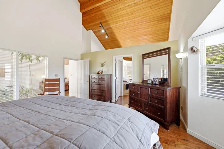 Vaulted wood-paneled ceiling, track lighting, wood-finish flooring, white window blinds, and natural light