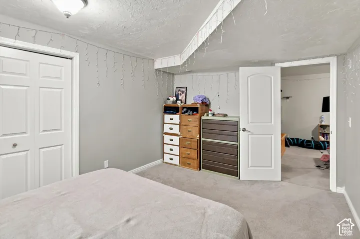 Carpeted flooring, white six-panel door, white bi-fold closet doors, and a flush-mount ceiling light fixture