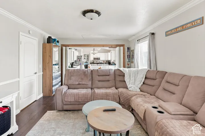 Wood-finish flooring, crown molding, and two-panel interior doors