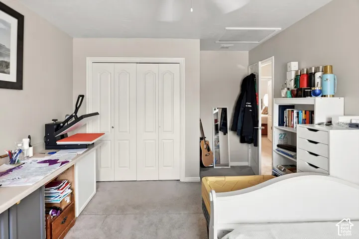 Neutral wall paint, bi-fold closet doors, wall-to-wall carpeting, and a ceiling-mounted light fixture