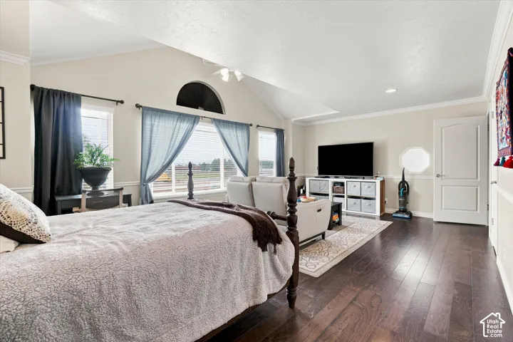 Vaulted ceiling with an arched window, dark wood-finish flooring, and white paneled walls