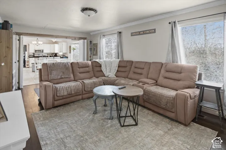 Hardwood-style flooring throughout, crown molding, and two windows with natural light