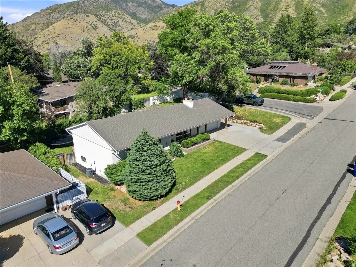 Single-story residence with a pitched shingle roof, attached garage, concrete driveway, and established front landscaping