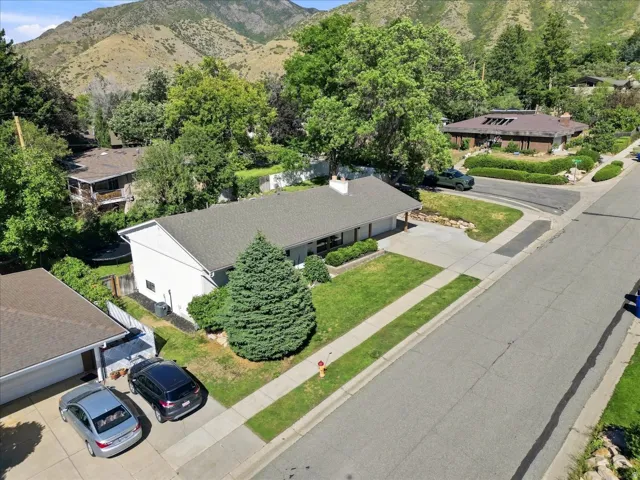 Single-story residence with a pitched shingle roof, attached garage, concrete driveway, and established front landscaping