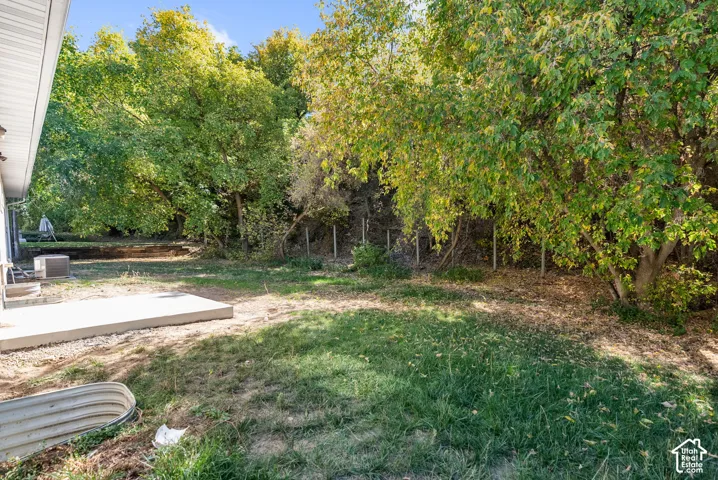 Expansive exterior with mature trees, concrete patio, and lush green landscaping