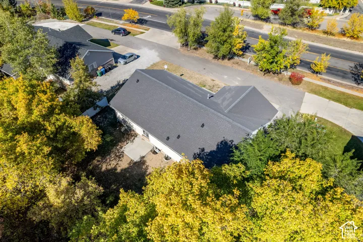 Spacious lot with mature trees, dark shingle roof, and concrete patio