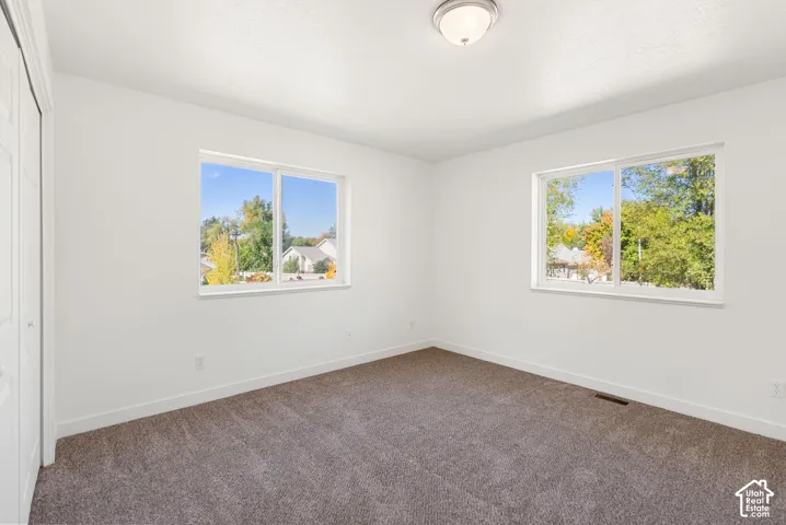 Neutral wall finishes, dual windows, ceiling-mounted light fixture, and broadloom carpeting