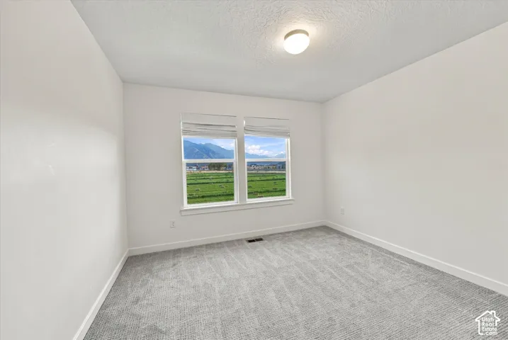 Bright interior space featuring a window with a mountain backdrop, neutral wall tones, and gray carpeting