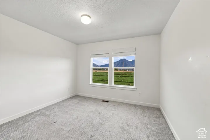 Spacious room with white walls, light gray carpet flooring, and a flush mount ceiling light