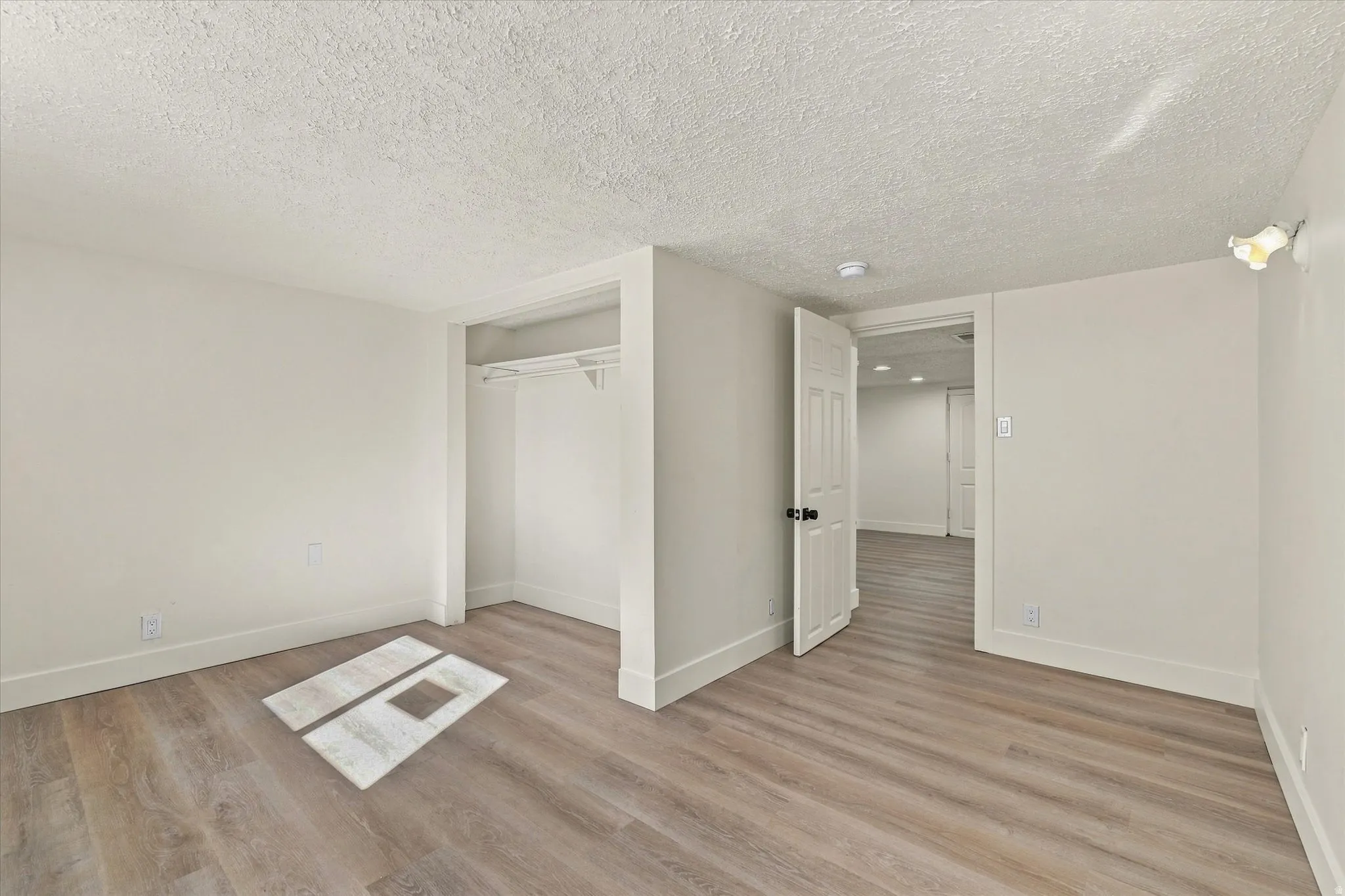 Light wood-finish flooring, white walls, and a built-in closet with shelving
