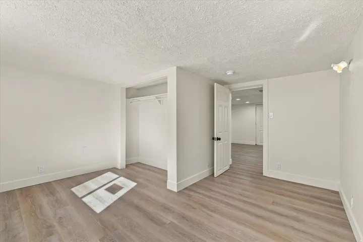 Light wood-finish flooring, white walls, and a built-in closet with shelving