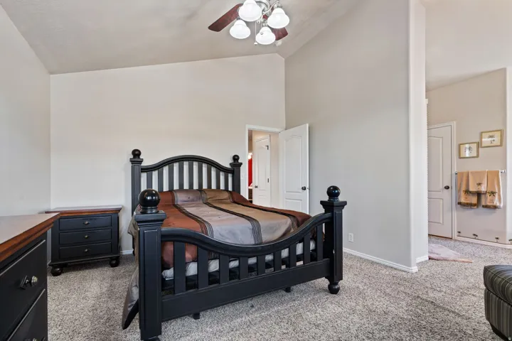 Primary Bedroom. Vaulted Ceilings. Ensuite. Separate Tub/shower. Massive walkin closet. Separate toilet room.