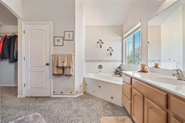 Primary Bedroom. Vaulted Ceilings. Ensuite. Separate Tub/shower. Massive walkin closet. Separate toilet room.