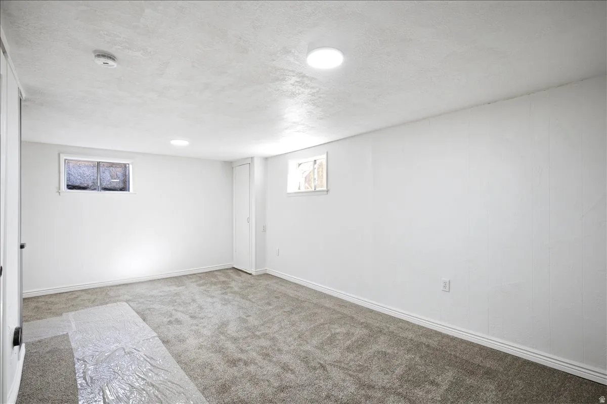 Basement family room