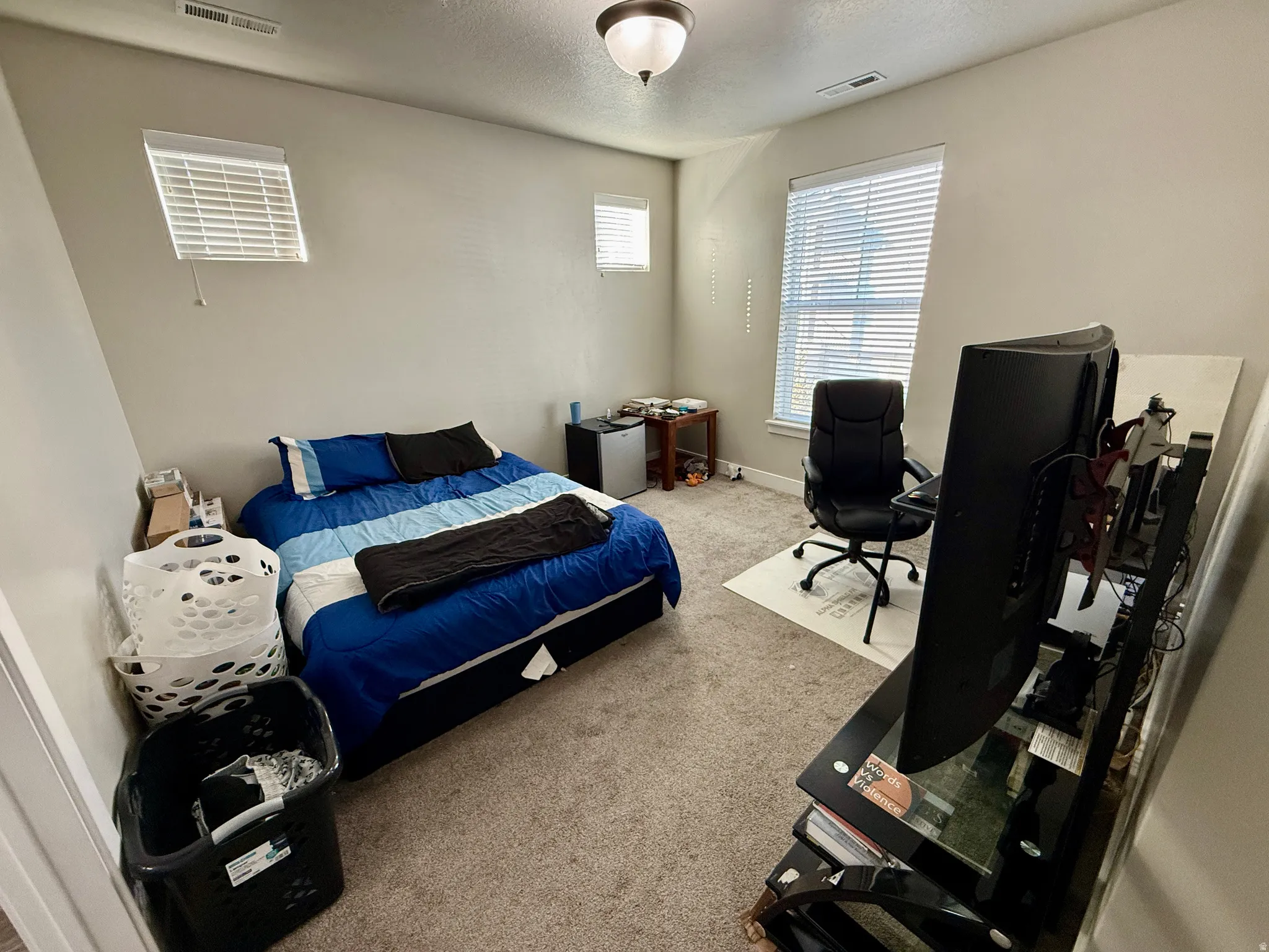 Neutral wall color, ceiling-mounted light fixture, multiple windows with blinds, and carpet flooring