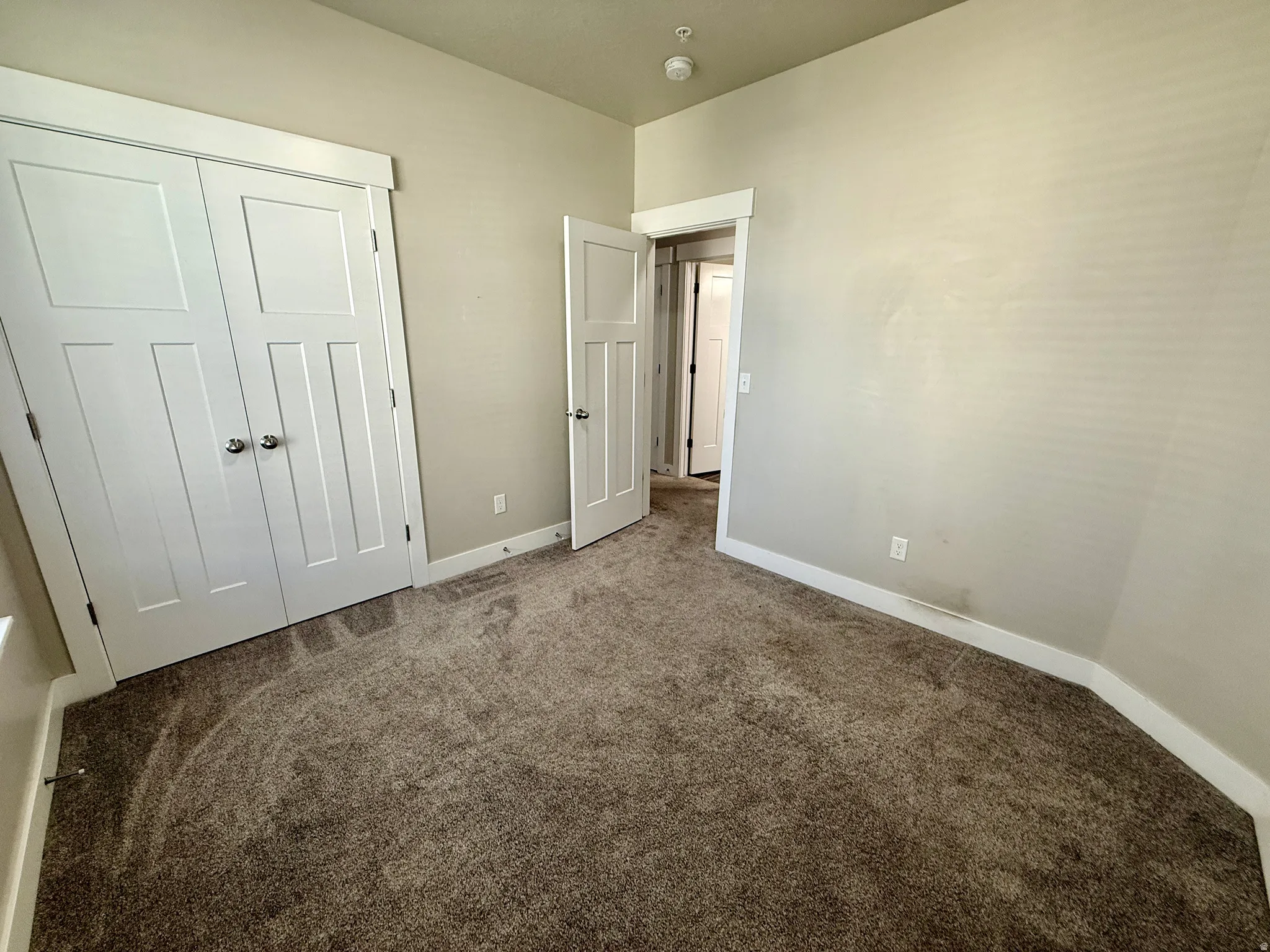 Neutral wall color, wall-to-wall carpeting, white interior doors, and white trim