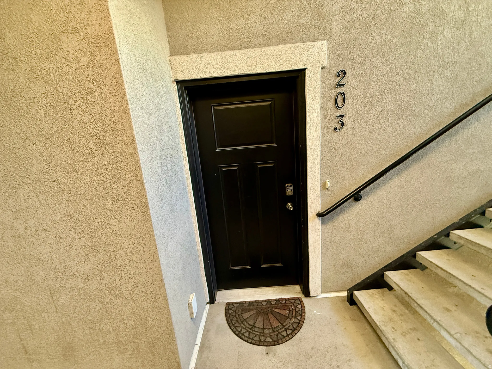 Black paneled entry door with polished chrome hardware, framed by textured wall finishes and concrete steps with a black metal handrail