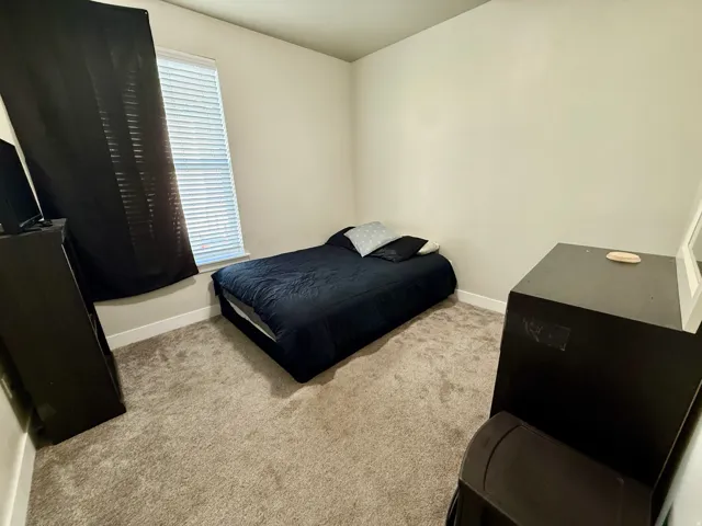 Carpeted flooring, neutral wall color, window with blinds, baseboards