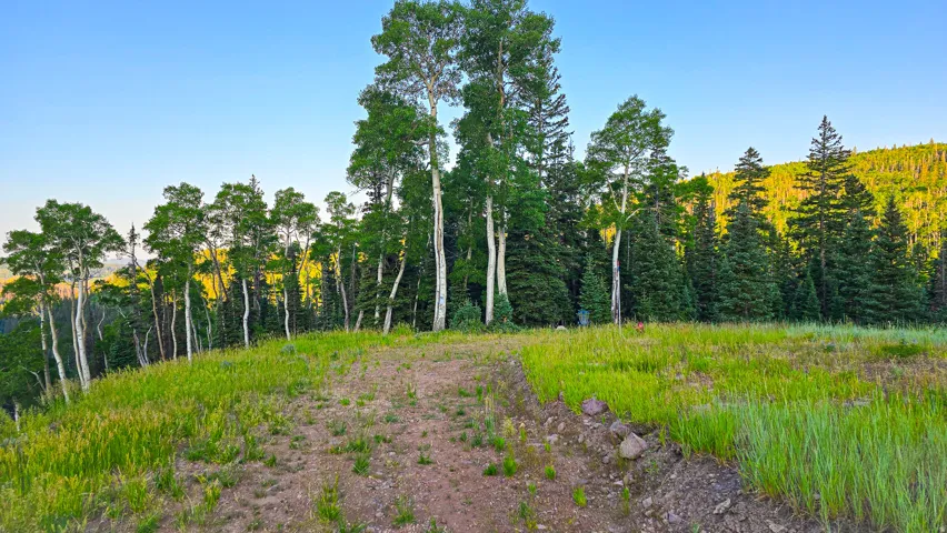 Expansive hillside property featuring mature aspen and pine trees, with natural landscaping and a clear sky backdrop