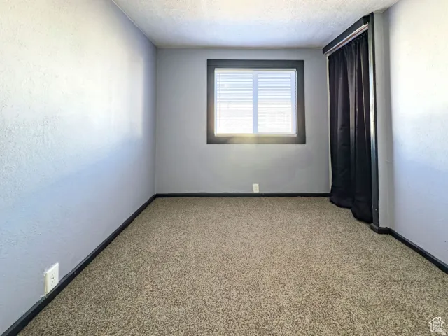 Window with blinds